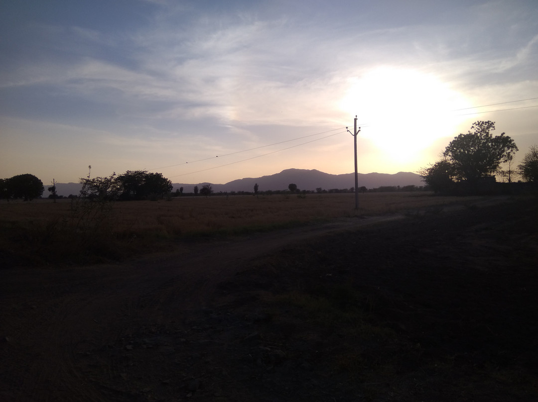 The Country Retreat Farmstay主图