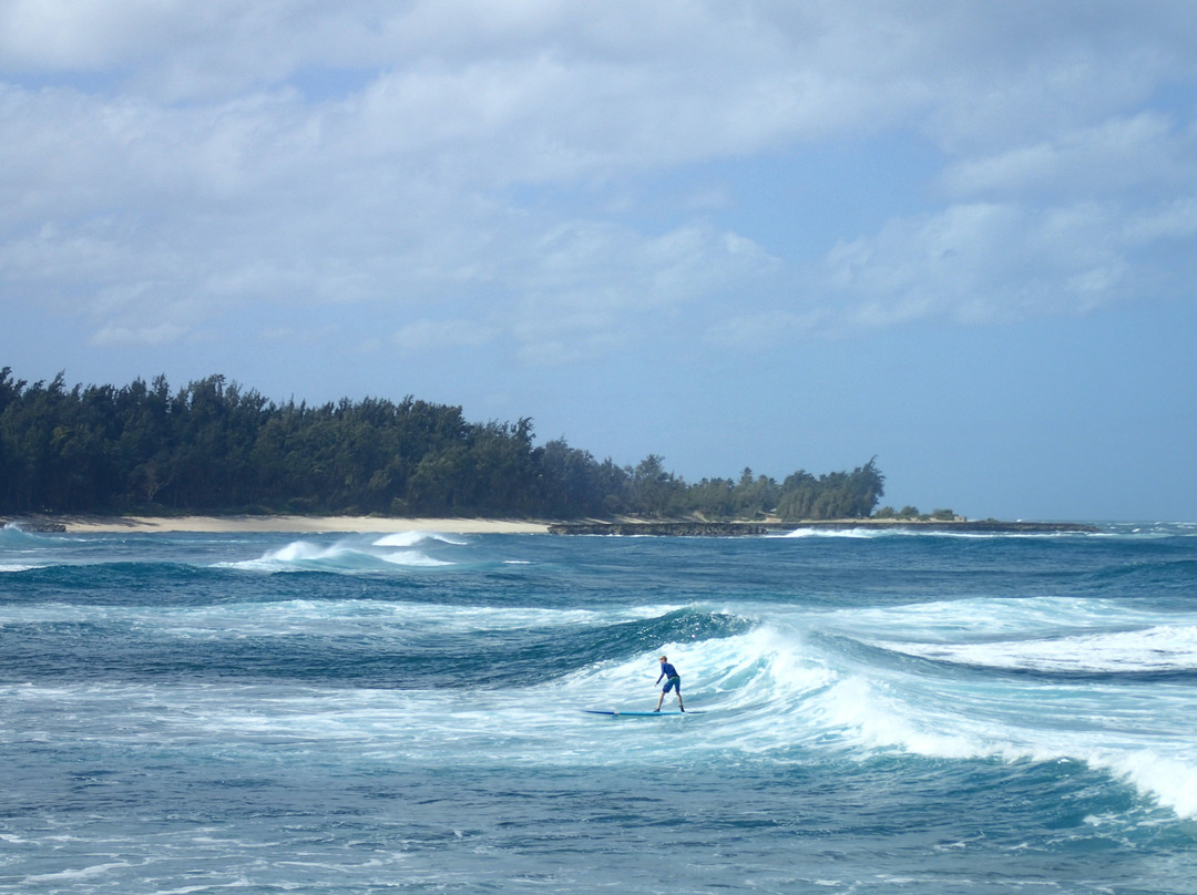 Hawaii Surf Dogs-卡胡库必去景点