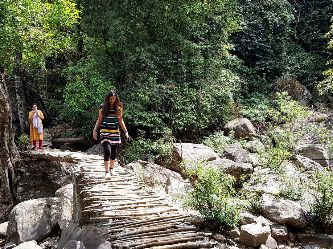 900 Woods Eco Resort主图