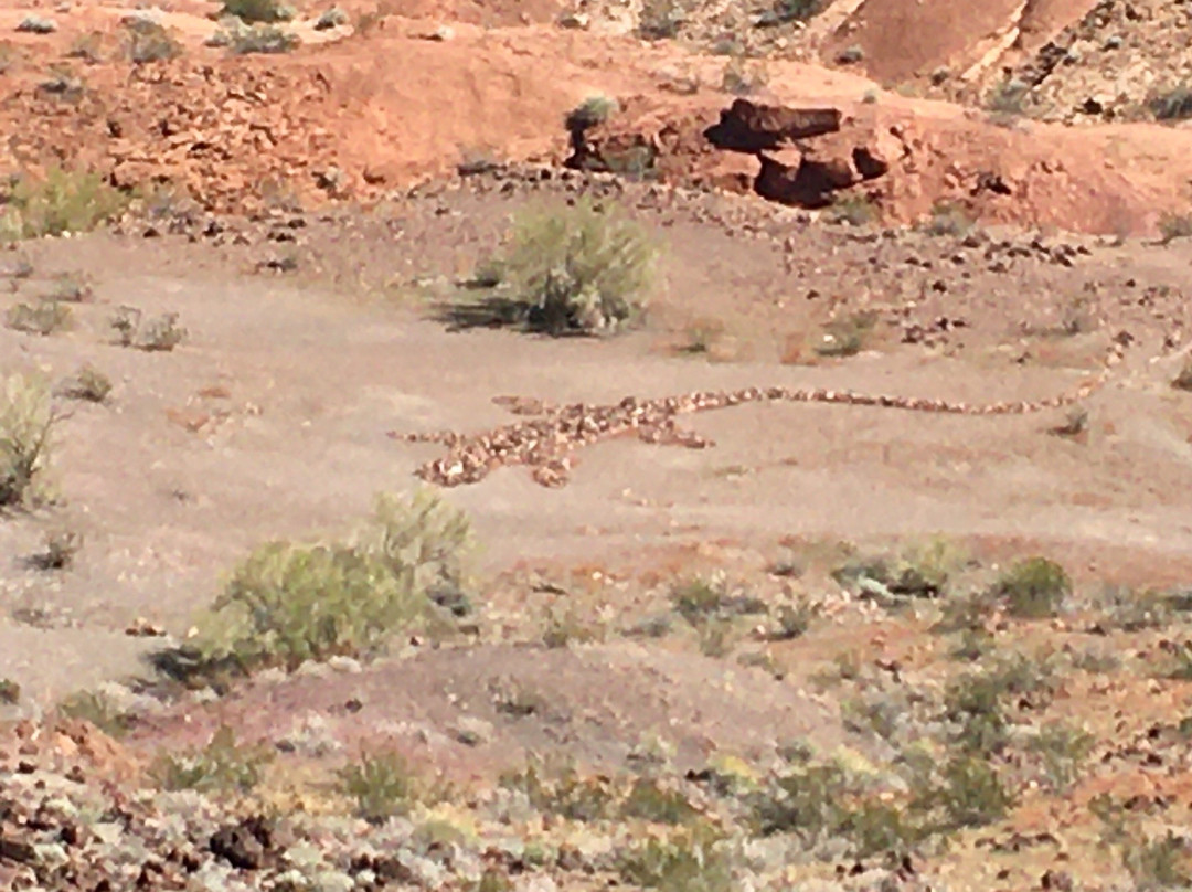 Sara Park-哈瓦苏湖城必去景点