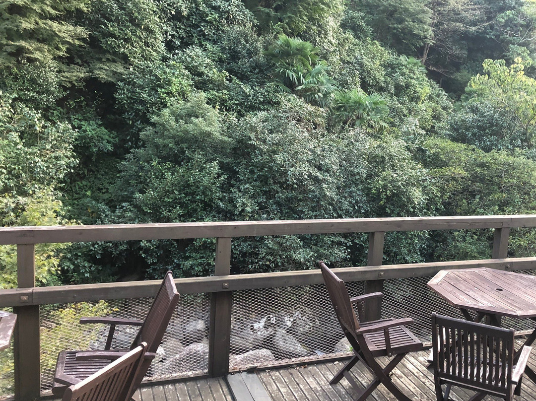 Shiba no Yu-嬉野市必去景点