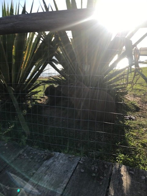 Santa Teresa National Park-Rocha必去景点