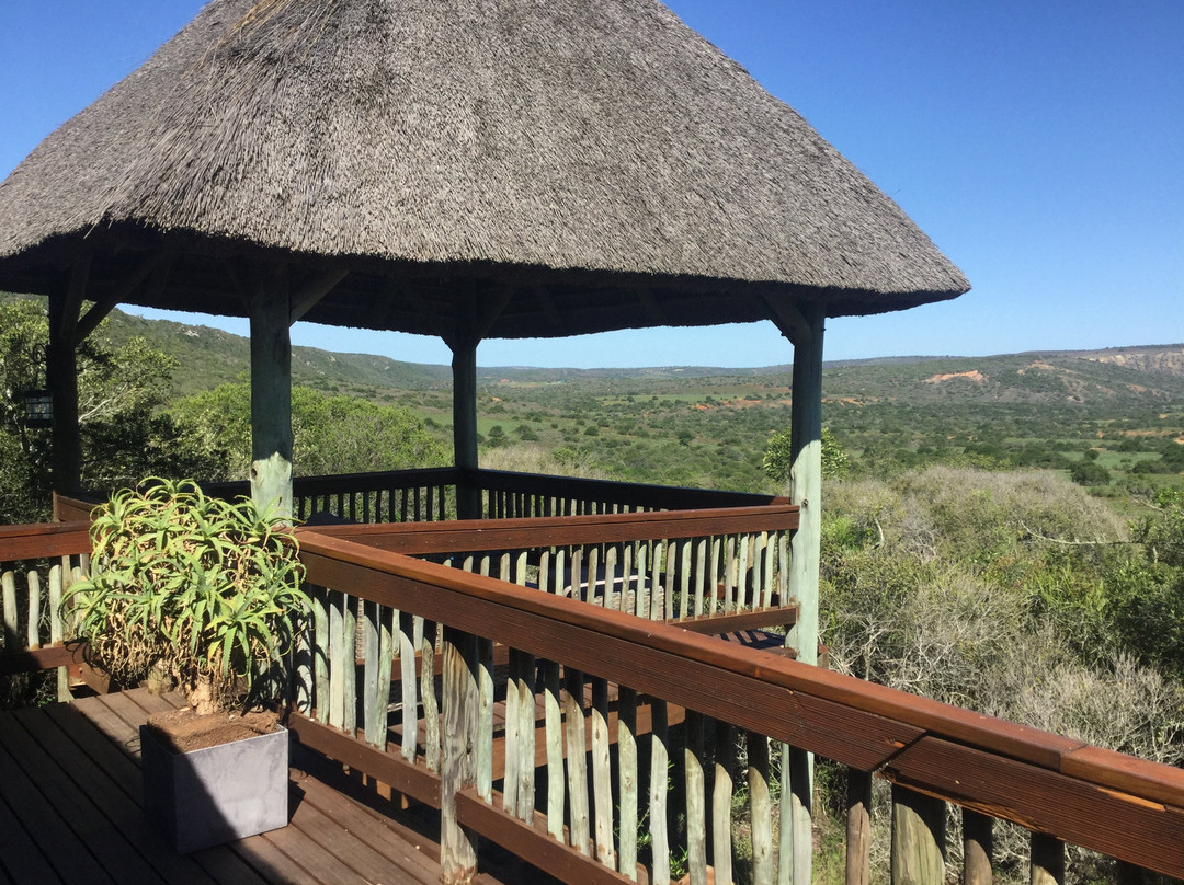 The Safari Lodge- Amakhala Game Reserve主图
