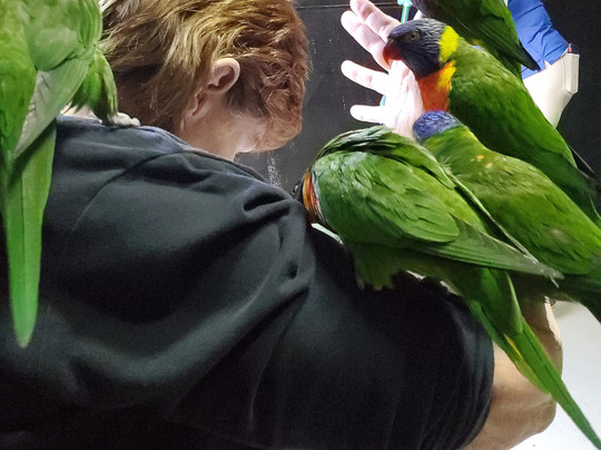 San Antonio Aquarium-圣安东尼奥市必去景点