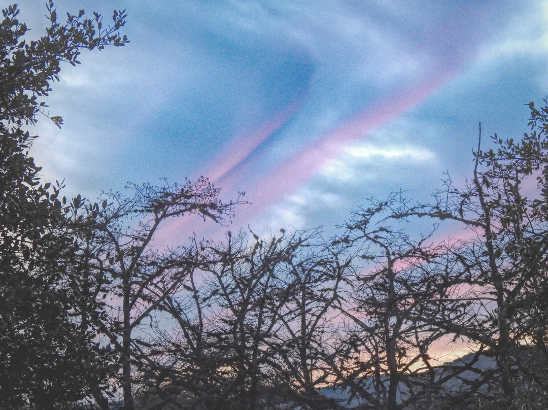 River Haven Cabins主图