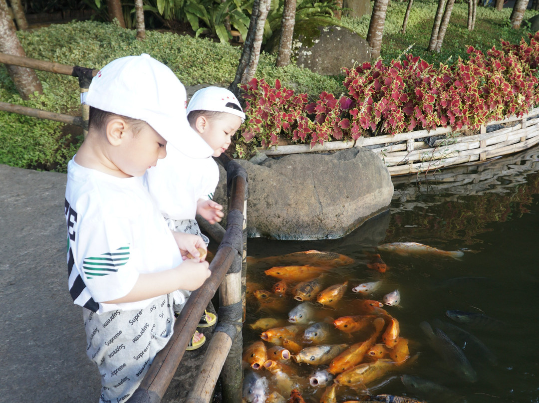 Floating Market Lembang景点图片