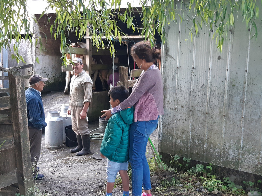 Centro Turistico Ruca Chelin主图