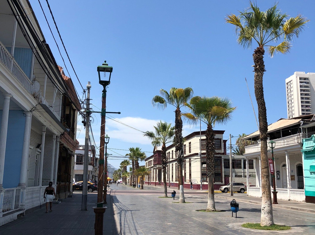 Baquedano Street-伊基克必去景点