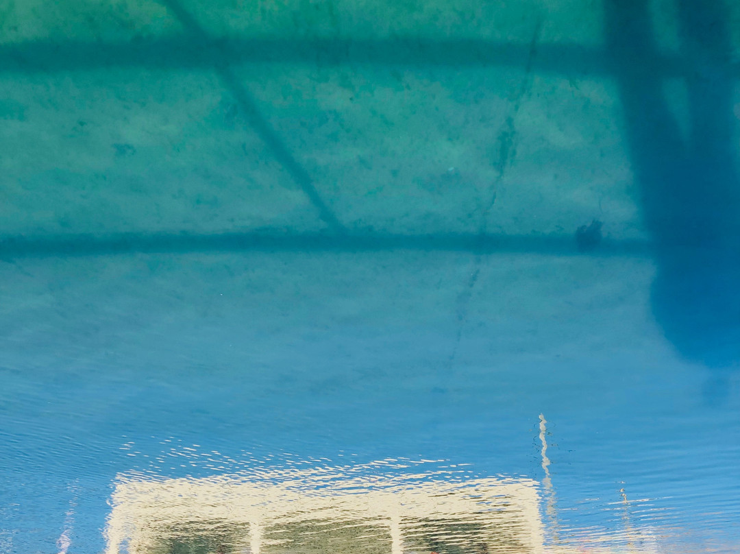 Wollongong To Thirroul Bike Track-卧龙岗市必去景点