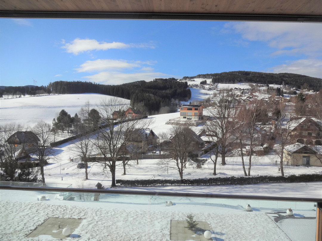 Dorfhotel Fasching主图