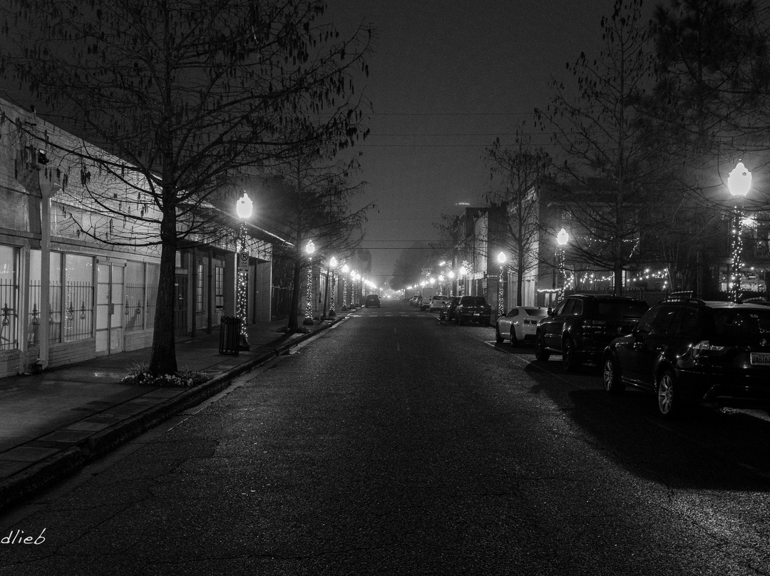 Dauphin Street-莫比尔必去景点