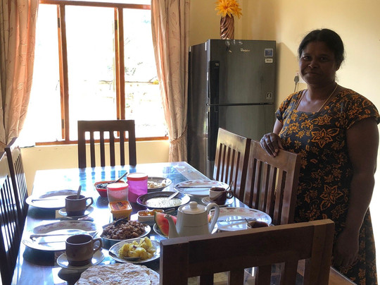 Vegetable Garden主图