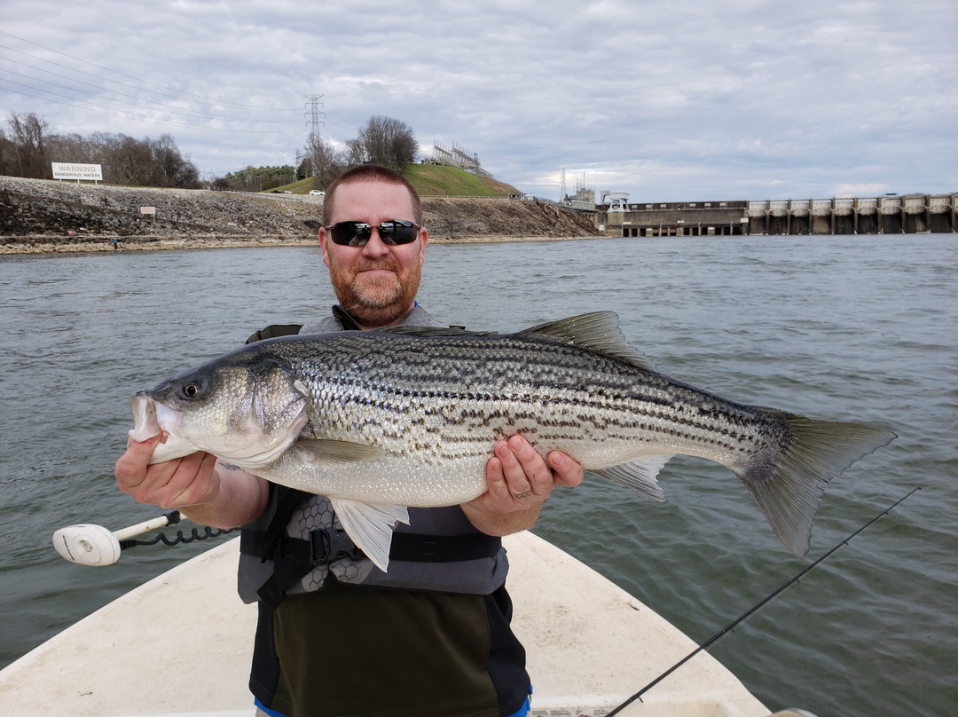 Fish On! Guided Tours景点图片