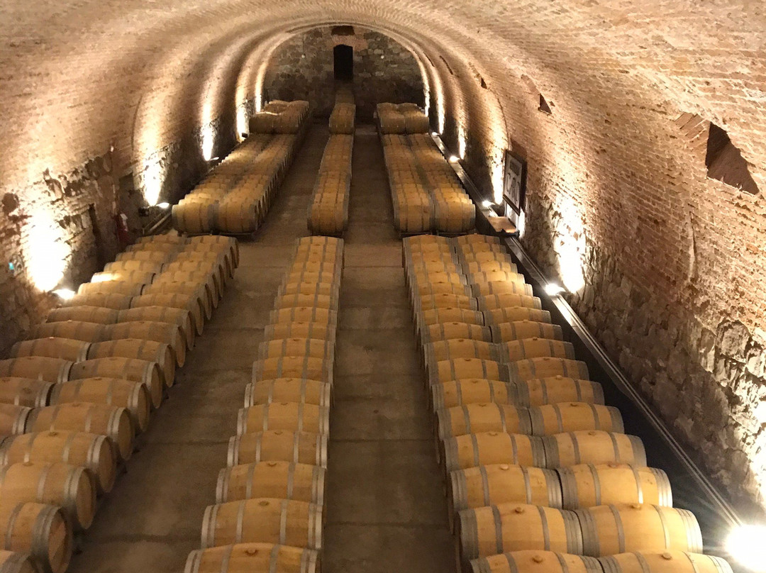 Bodegas CARO景点图片