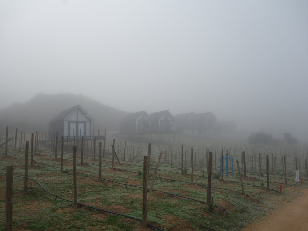 Oeno Wine Lodge主图