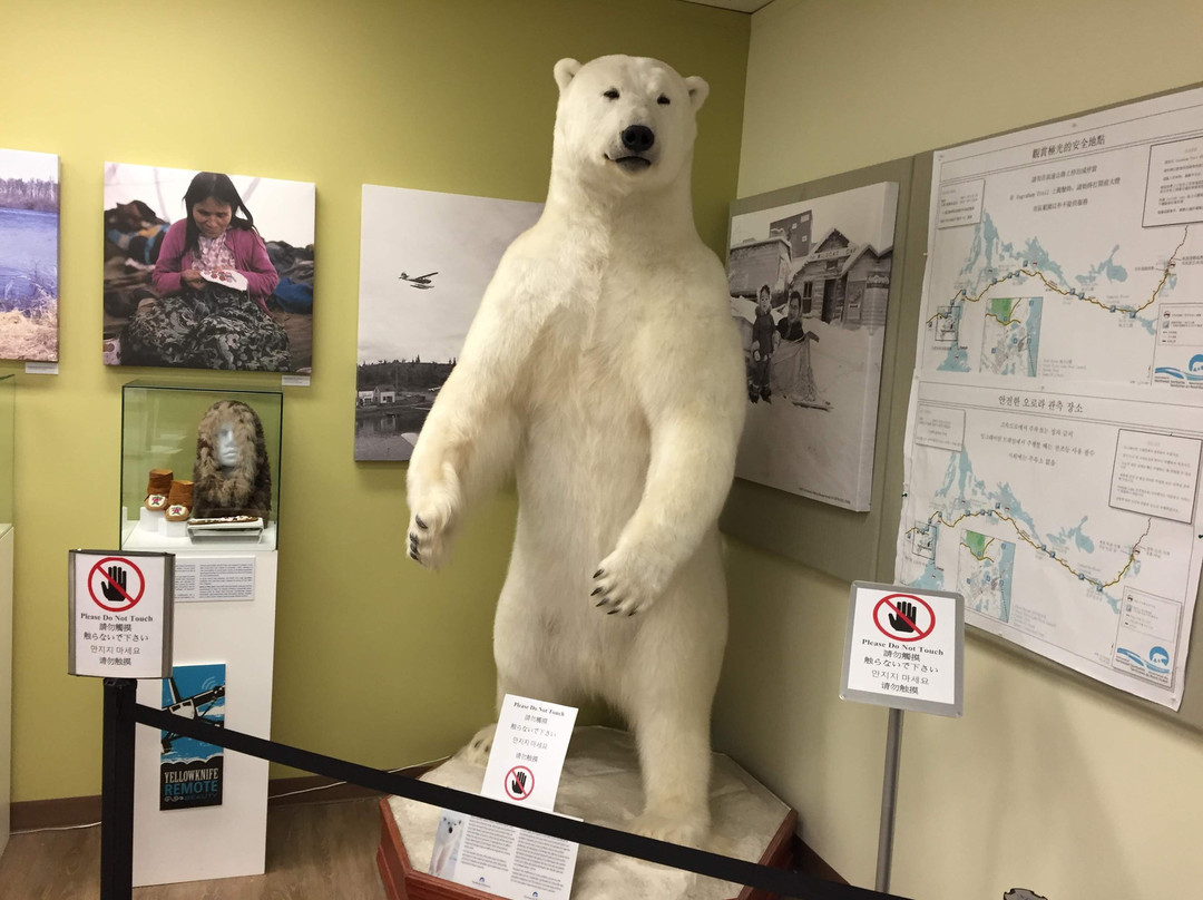 Yellowknife City Hall & Park-黄刀镇必去景点