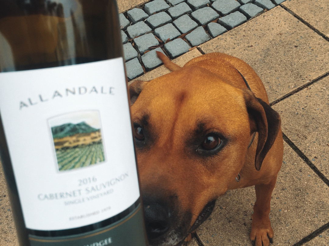 Allandale Winery景点图片