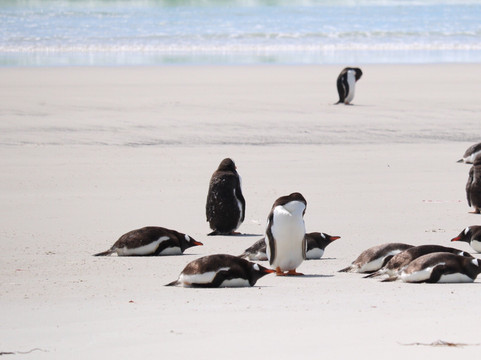 North Ponds Park-Webster必去景点