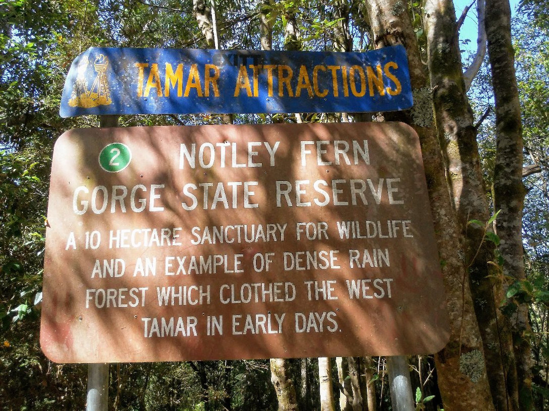 Notley Fern Gorge-Legana必去景点