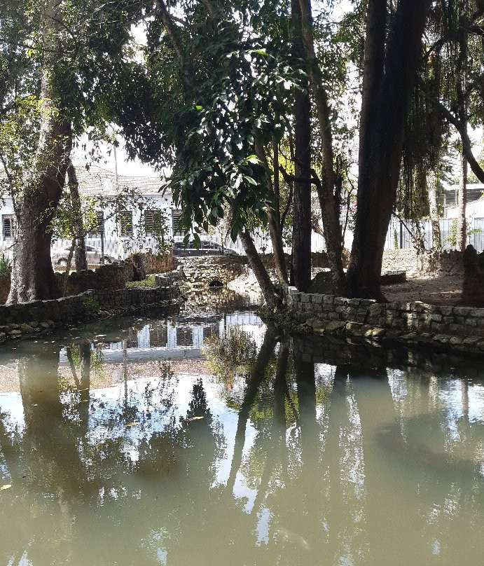 Bosque Da Princesa-Pindamonhangaba必去景点