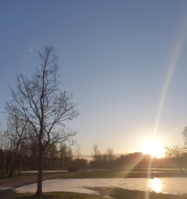 Murinsky Park of Culture and Leisure-圣彼得堡必去景点