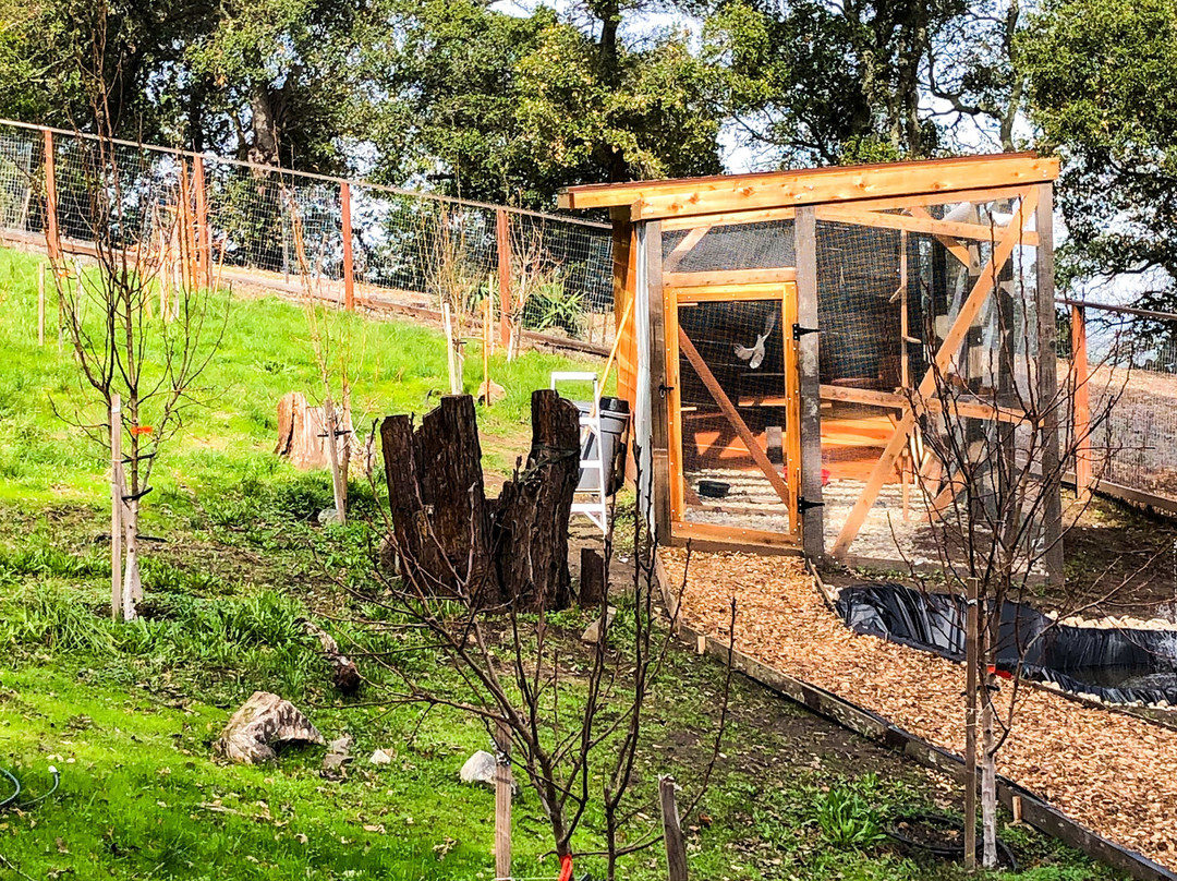 San Damiano Retreat-丹维尔必去景点