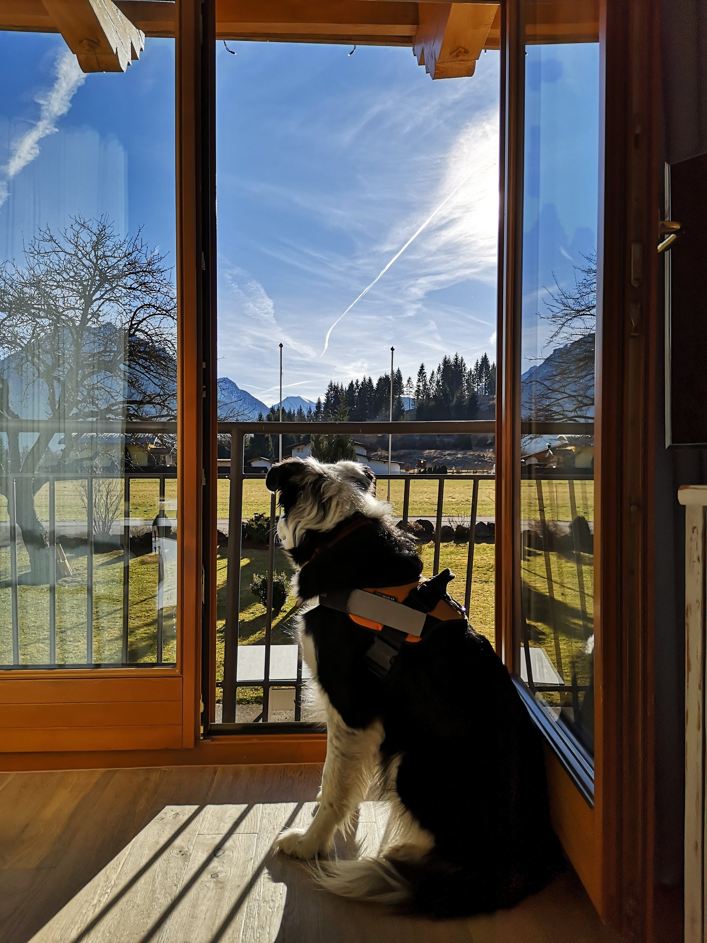 Hotel Tannenhof-酒店景观