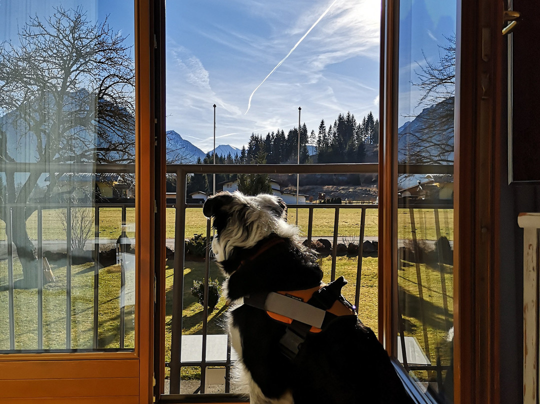 Hotel Tannenhof主图