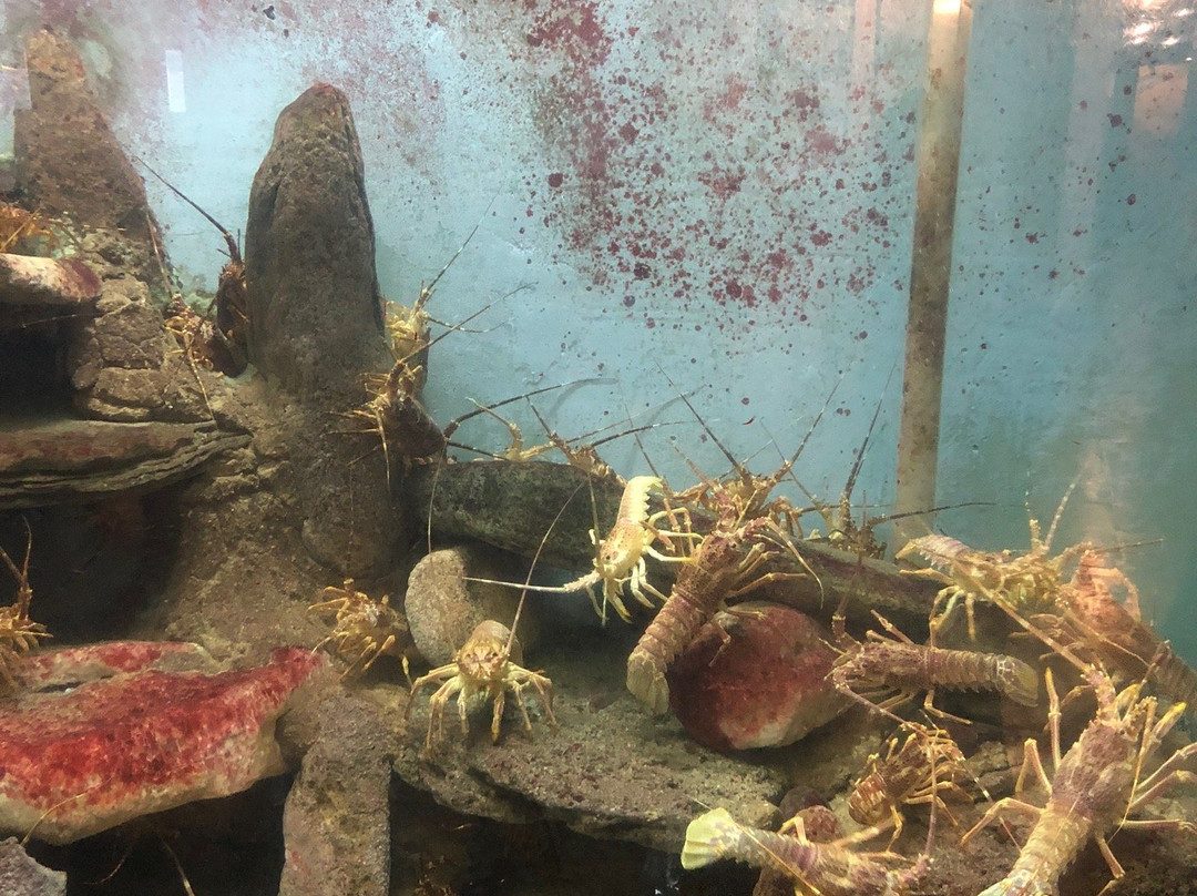 National Marin Aquarium of Namibia-斯瓦科普蒙德必去景点