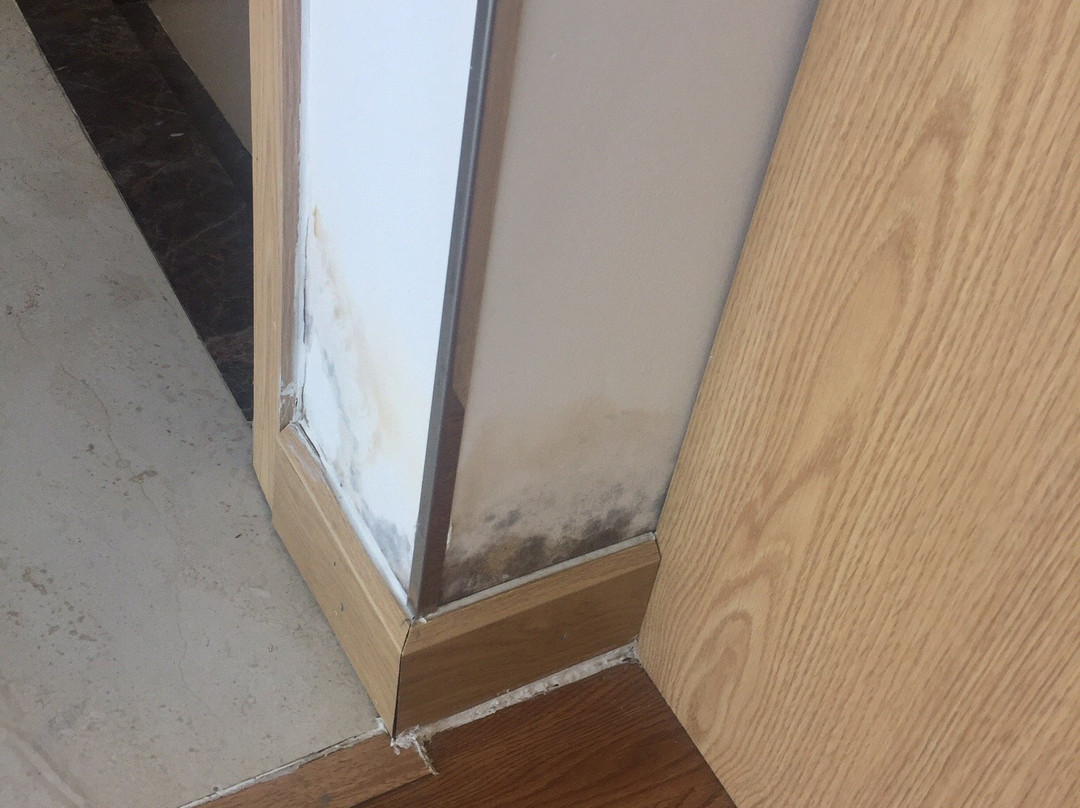 Gold Luxury Hotel主图