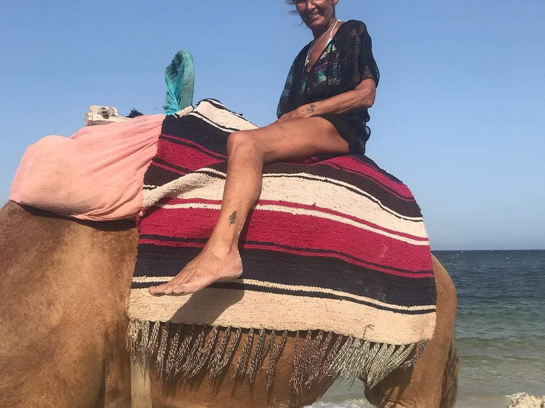 Les Maisons De La Mer主图