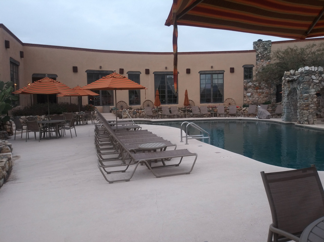 维德·丹戈旅客牧场主图