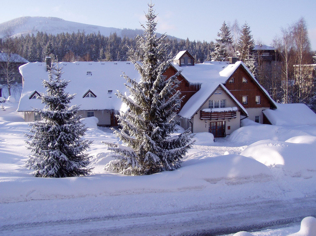 Hotel Rydl