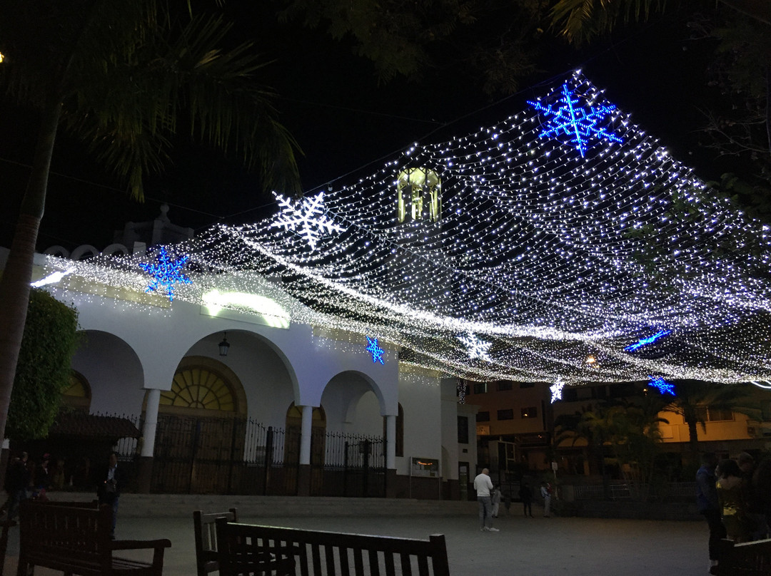 Parroquia Nuestra Señora del Carmen-洛斯克里斯蒂亚诺斯必去景点