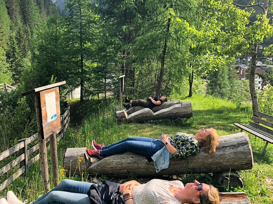 Tirolerhof - Frühstückspension & Appartmenthaus主图