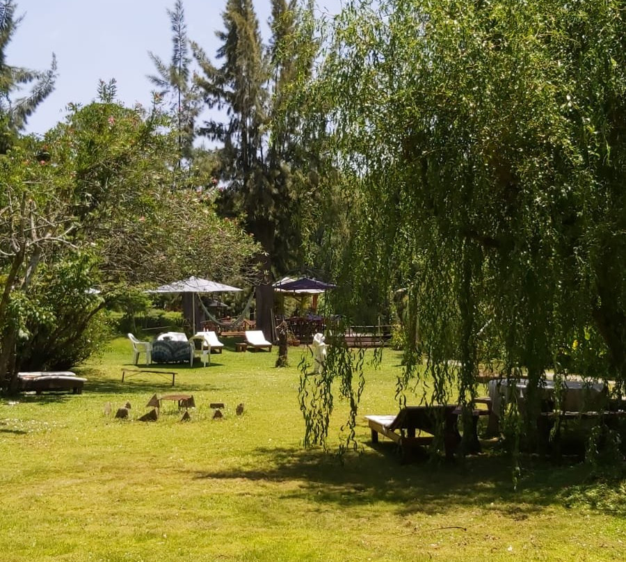 El Portal de las Musas主图