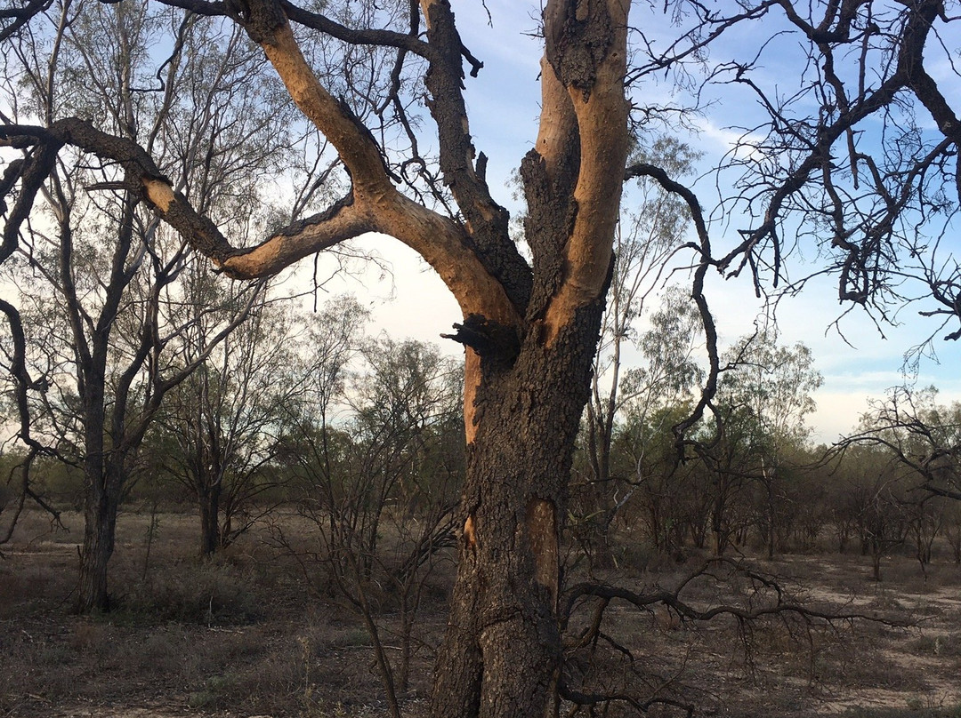 The Barwon Inn主图