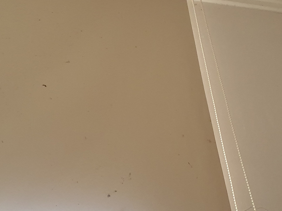 帕克兰德酒店主图