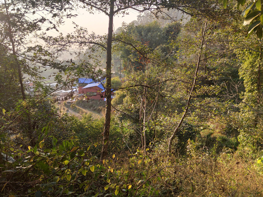 Nagarkot Panoramic Hiking Trail-纳加阔特必去景点