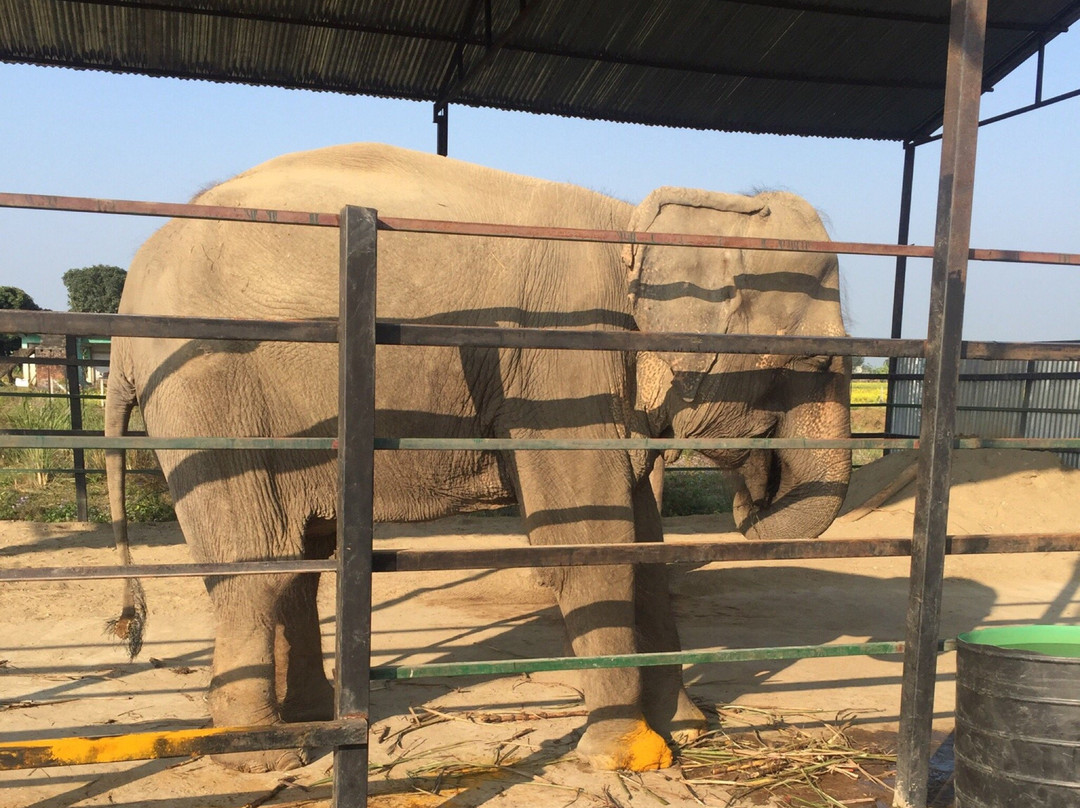 The SU4E Home-苏拉哈必去景点