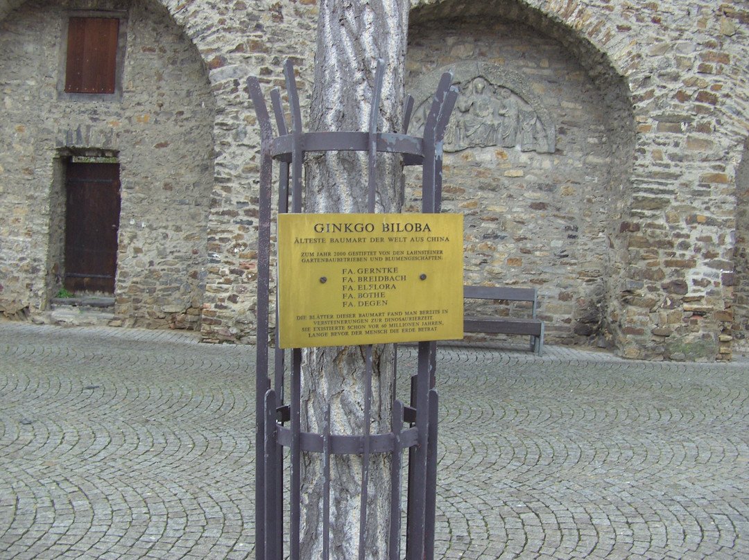 Themenweg Historisches Lahnstein景点图片