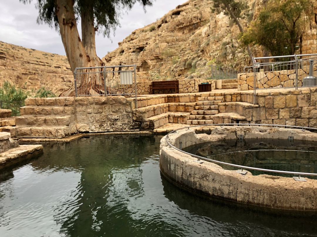 Dani Eco Tours-Haifa必去景点