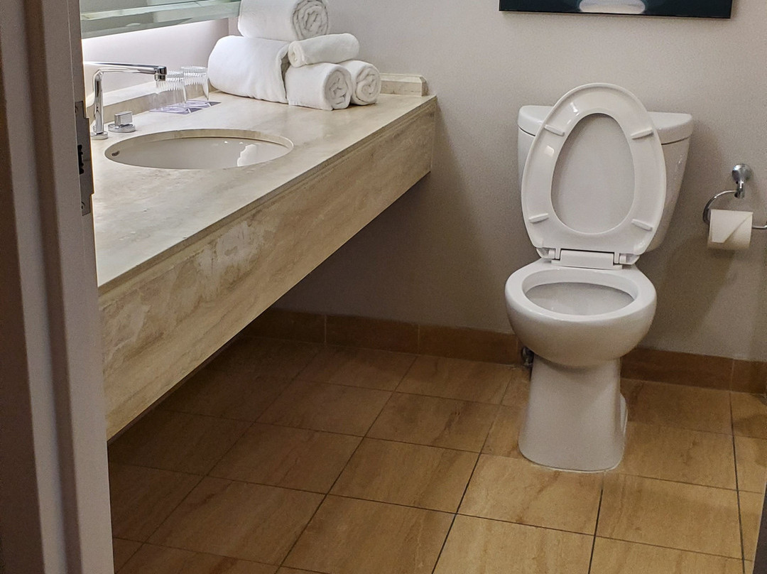 伯明翰凯悦酒店主图