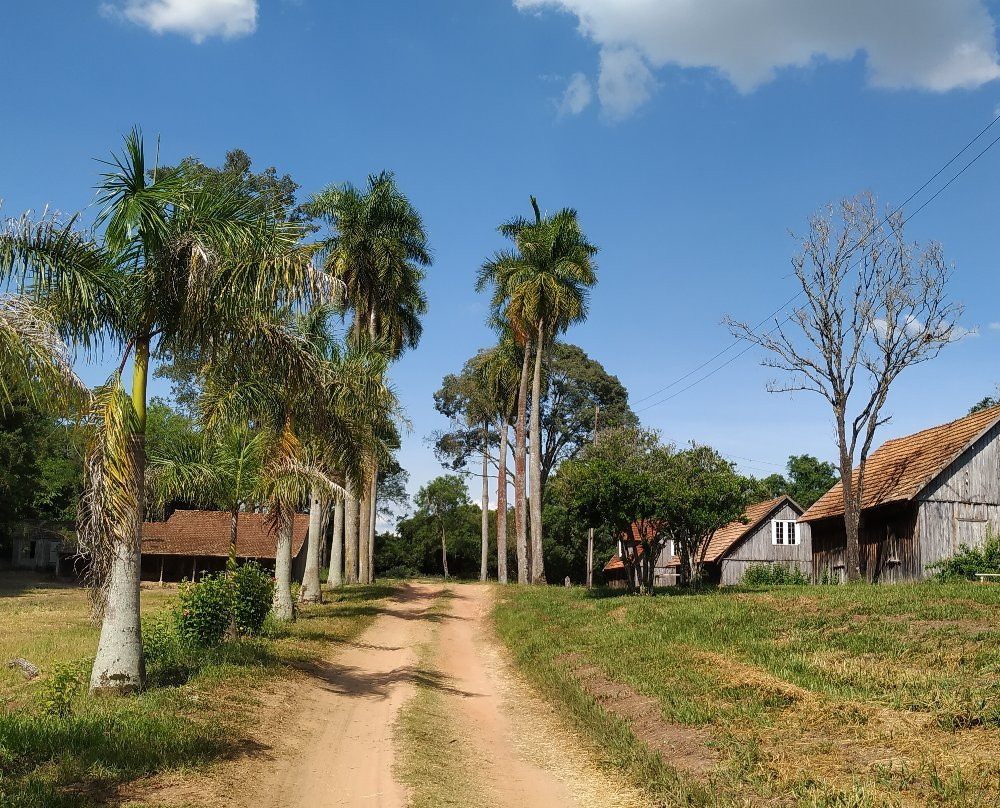 Fazenda Palma景点图片