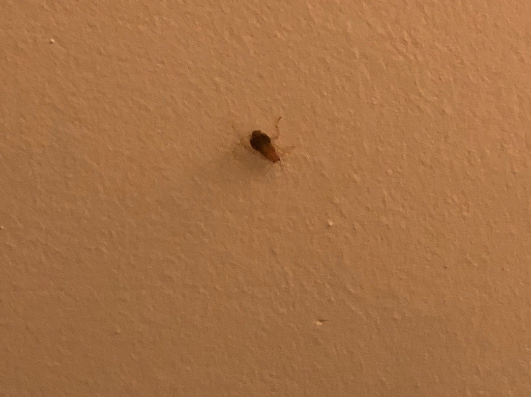 Le Pré Galoffre主图