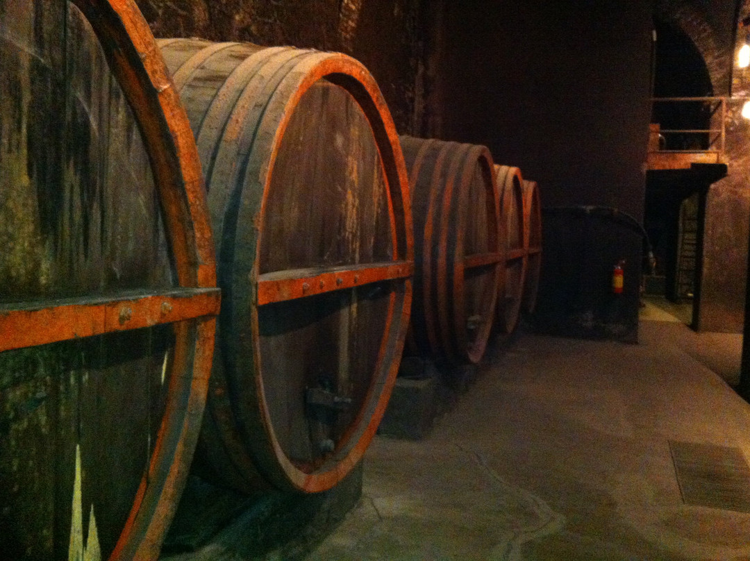 MUVIS - Museo del Vino-Castiglione in Teverina必去景点