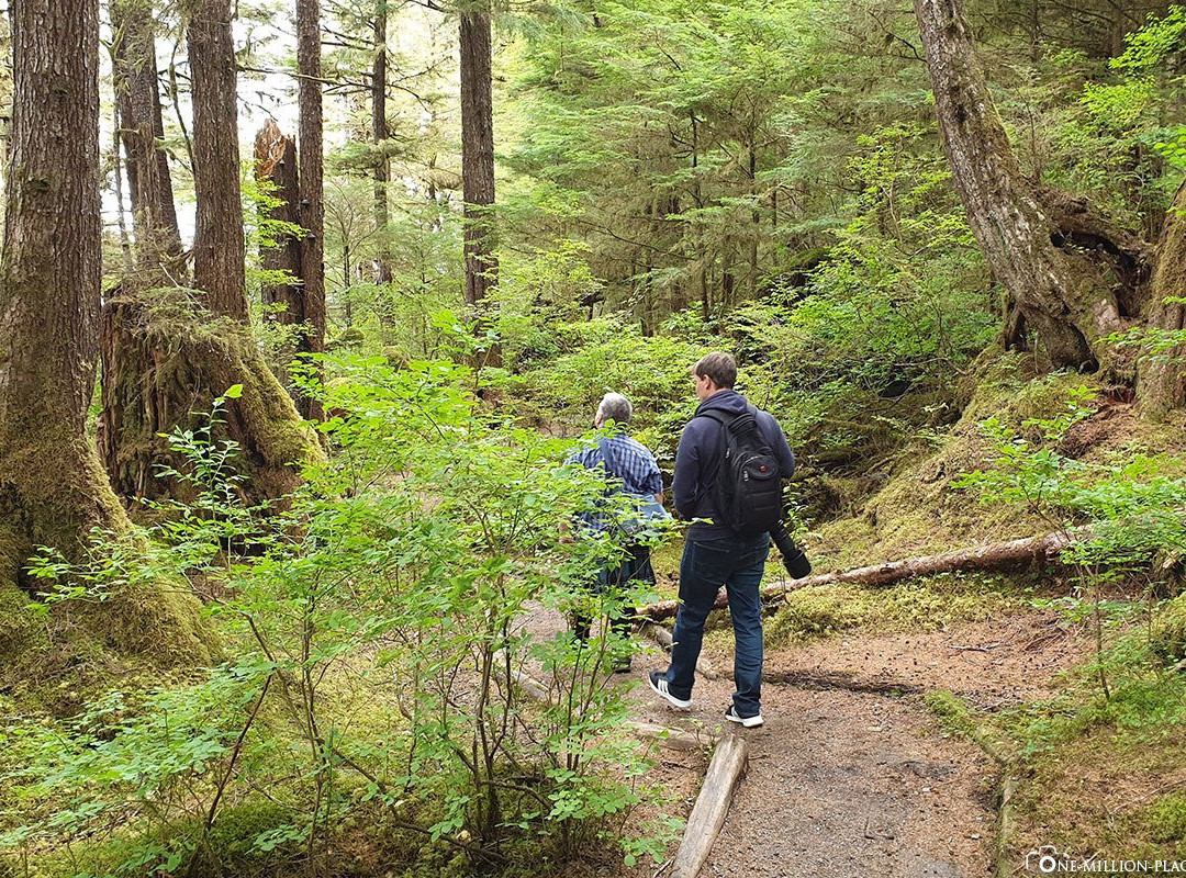 Ketchikan Tours-凯奇坎必去景点