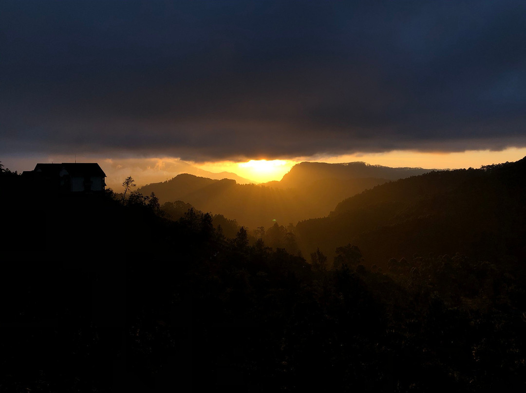 Anasa Wellness Resort主图