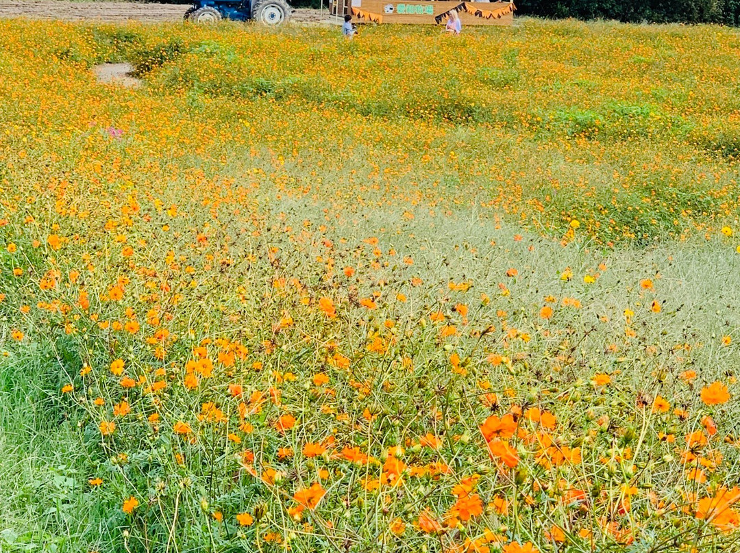 Aichi Farm-日进市必去景点