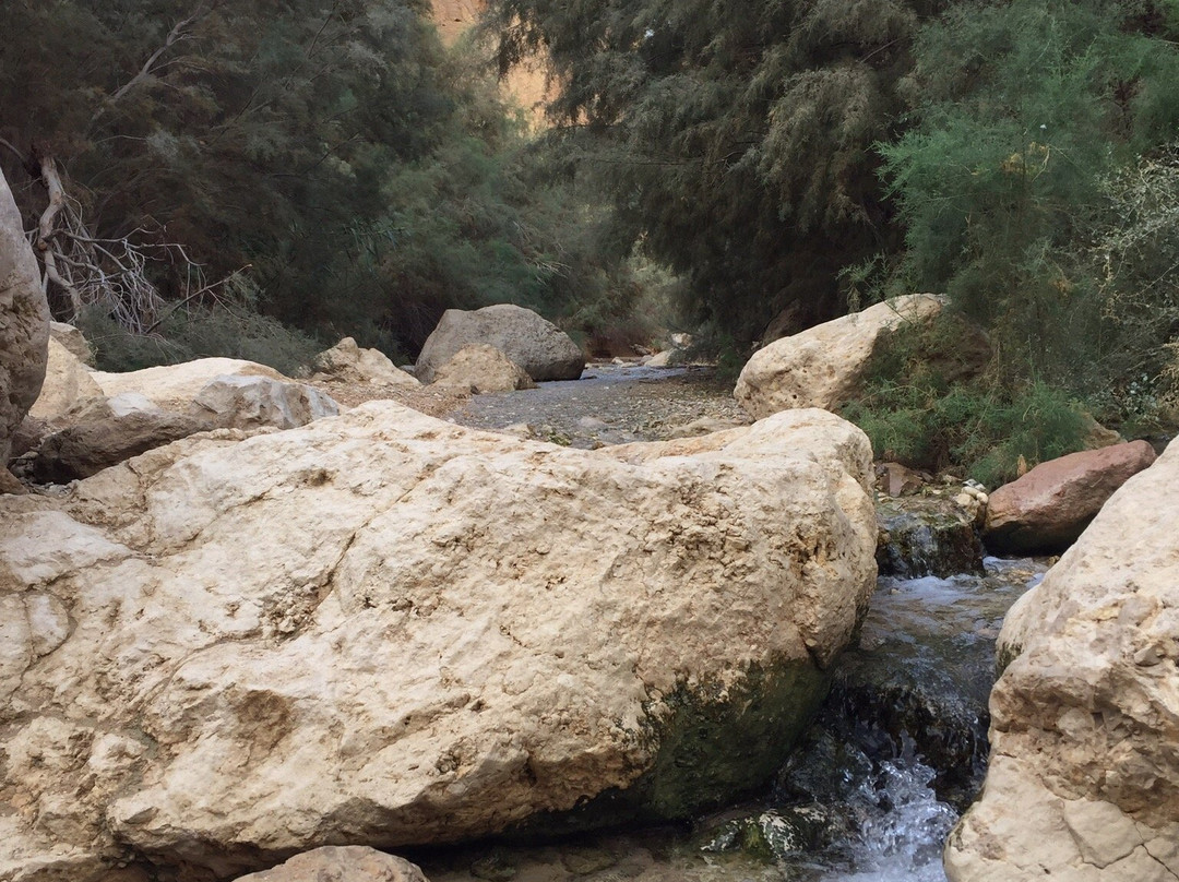 Bokek River-英波格必去景点